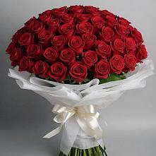 Букет 101 Красная роза Блэк Мэджик в Северодвинске