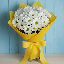 Букет цветов из:  Хризантемы в Северодвинске