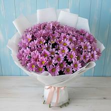 Букет цветов из:  Хризантемы #REPLACE_PRED# Северодвинске