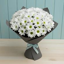Букет цветов из:  Хризантемы #REPLACE_PRED# Северодвинске
