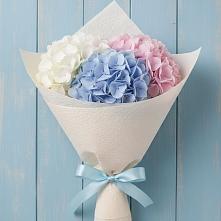Букет цветов из:  Гортензия в Северодвинске