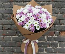 Букет цветов из:  Хризантемы в Северодвинске