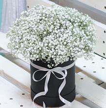 Цветочная композиция из Гипсофила в шляпной коробке #REPLACE_PRED# Северодвинске