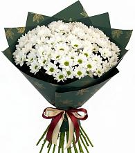 Букет цветов из:  Хризантемы в Северодвинске