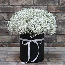 Цветочная композиция из Гипсофила в шляпной коробке #REPLACE_PRED# Северодвинске