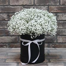 Цветочная композиция из Гипсофила в шляпной коробке в Северодвинске