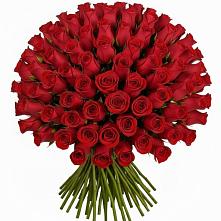 Букет Красные розы Чери Лав в Северодвинске