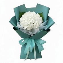 Букет цветов из:  Гортензия #REPLACE_PRED# Северодвинске